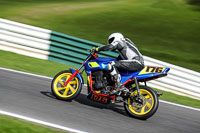cadwell-no-limits-trackday;cadwell-park;cadwell-park-photographs;cadwell-trackday-photographs;enduro-digital-images;event-digital-images;eventdigitalimages;no-limits-trackdays;peter-wileman-photography;racing-digital-images;trackday-digital-images;trackday-photos